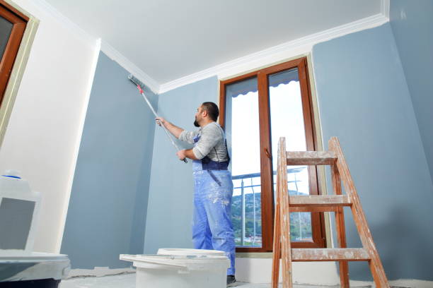 Best Real Estate Mold Inspection  in Wailua, HI