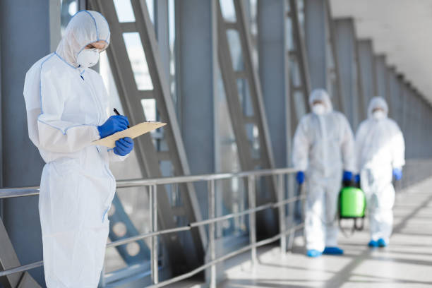 Best Mold Documentation for Insurance Claims  in Wailua, HI