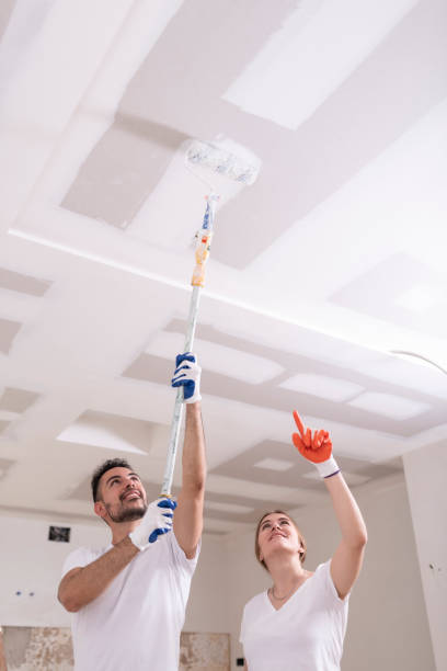 Best Mold Odor Removal Services  in Wailua, HI