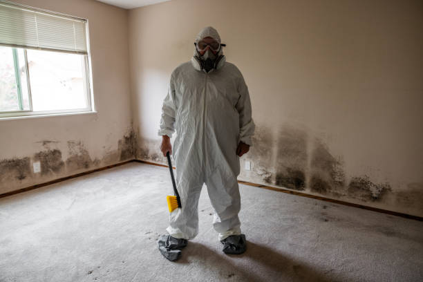 Best Commercial Mold Inspection  in Wailua, HI